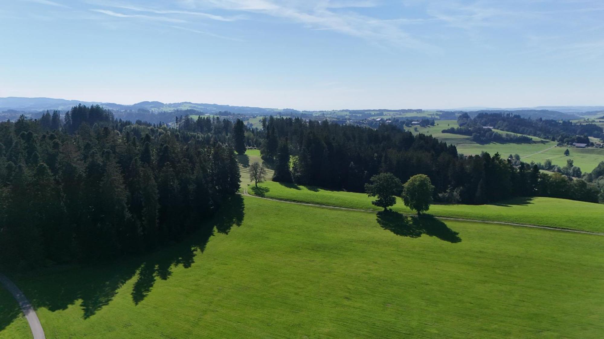 Altensberger Hof Gestratz エクステリア 写真